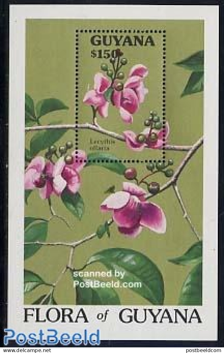 Guyana 1990 Lecythis Ollaria S/s, Mint NH, Nature - Flowers & Plants - Guiana (1966-...)