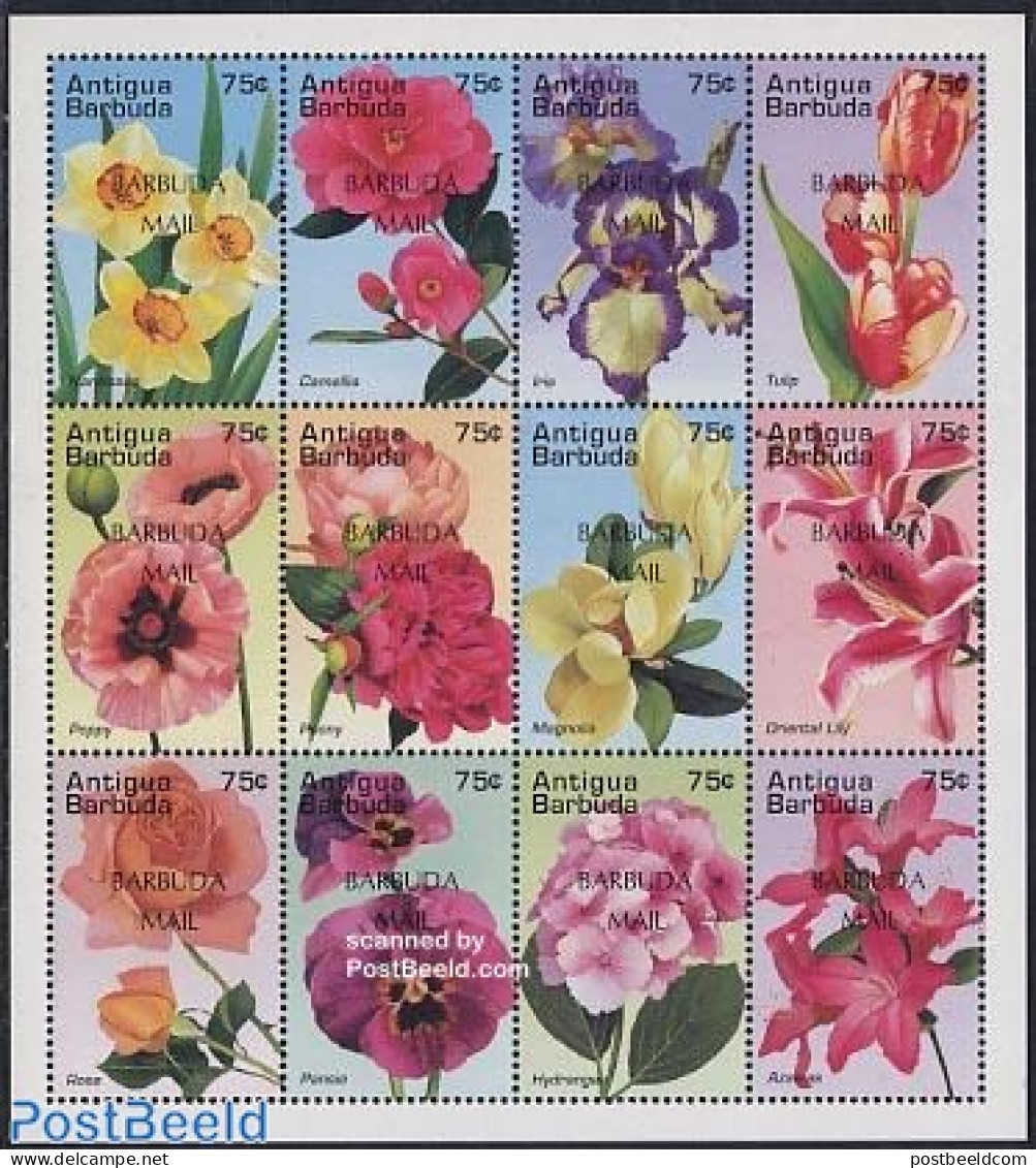 Barbuda 1997 Flowers 12v M/s, Mint NH, Nature - Flowers & Plants - Barbuda (...-1981)