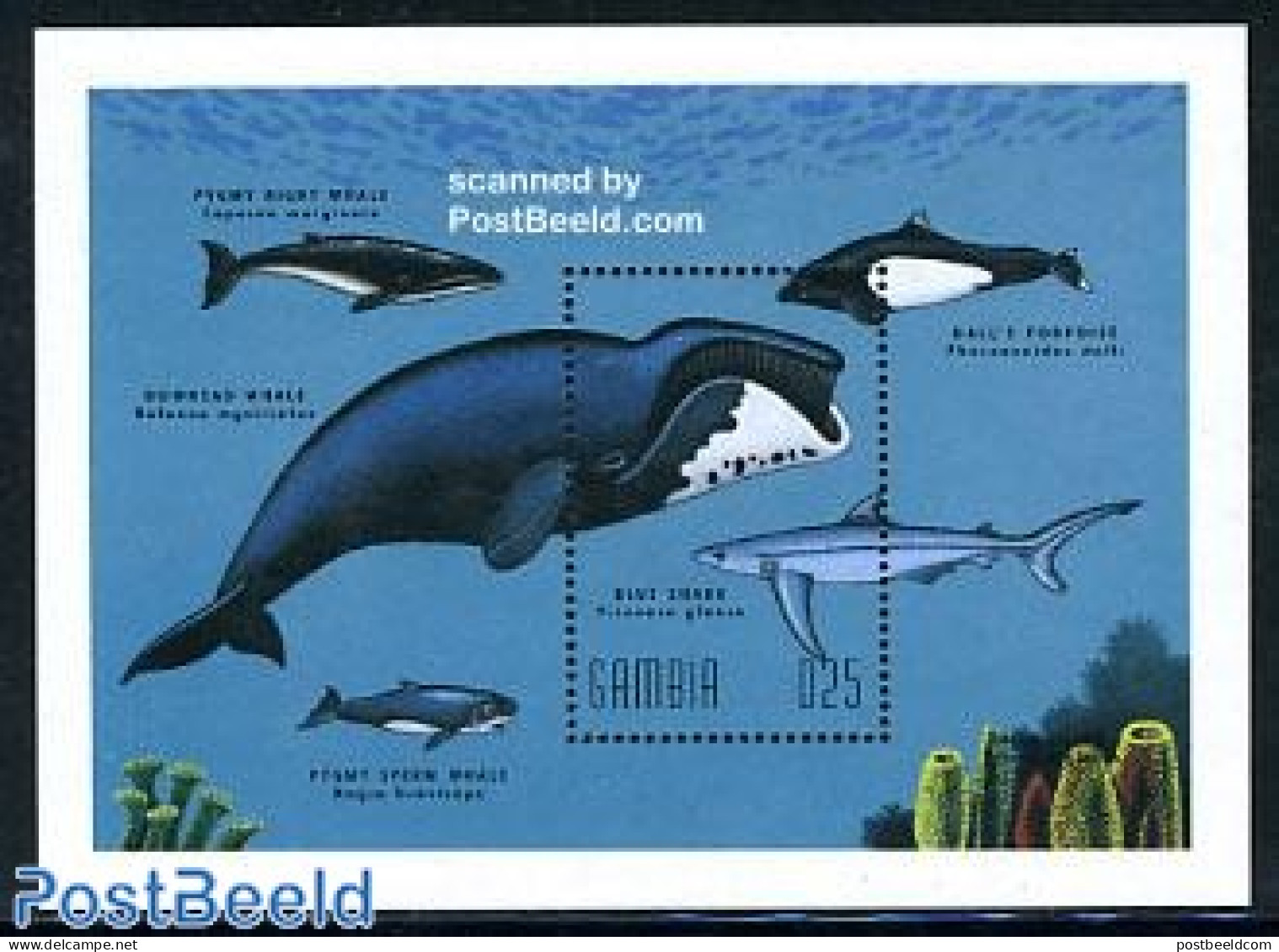 Gambia 1995 Sea Mammals S/s, Mint NH, Nature - Sea Mammals - Gambia (...-1964)