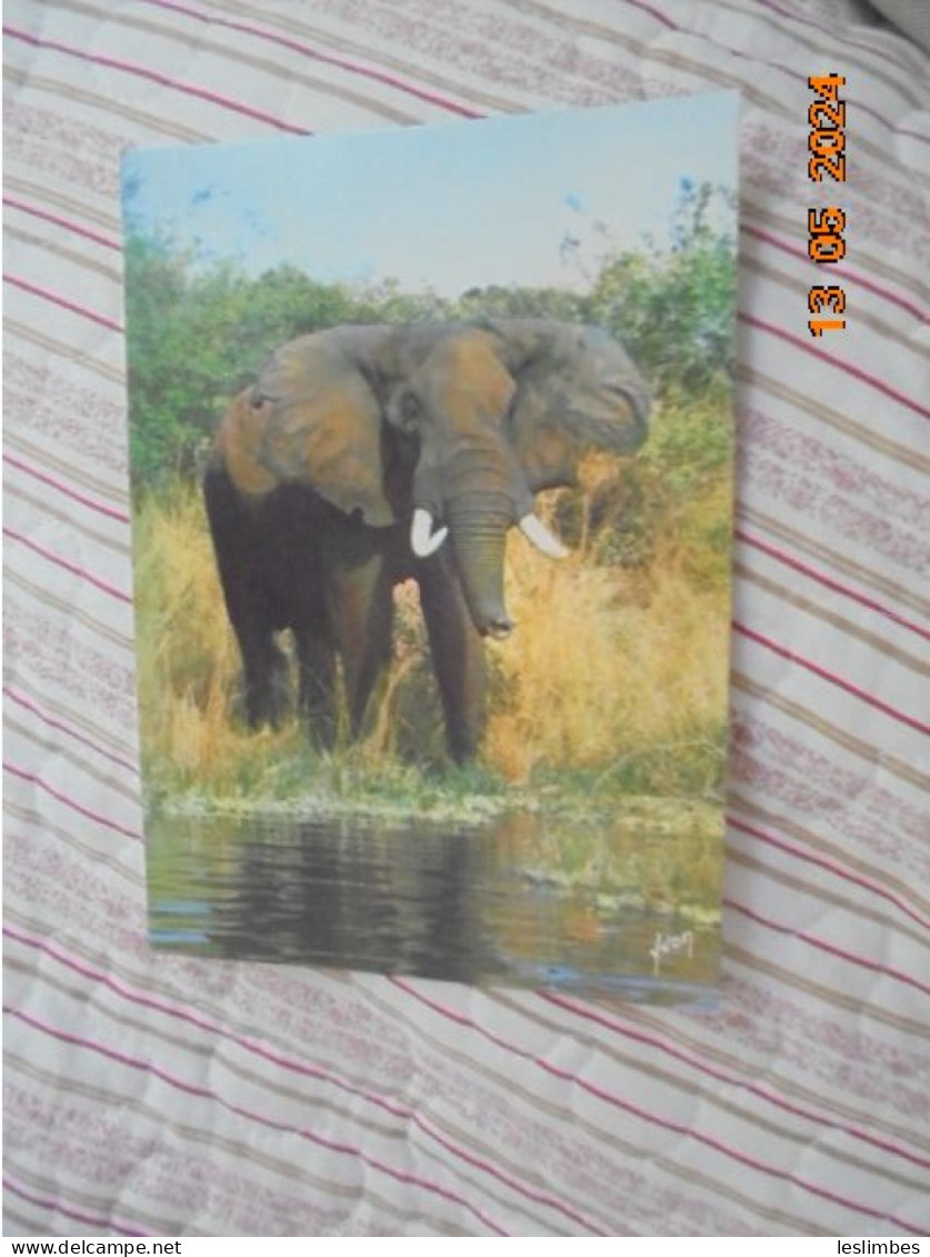 Francis Et Les Animaux D'afrique. Un Bel Elephant 5 - Elephants