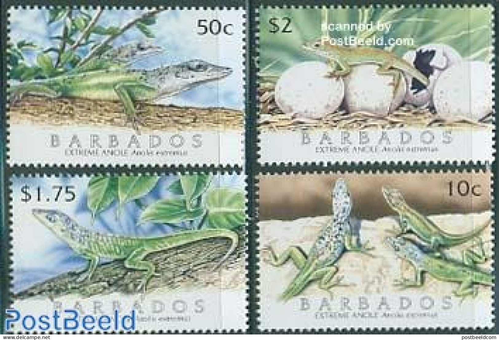 Barbados 2005 Extreme Anole 4v, Mint NH, Nature - Animals (others & Mixed) - Reptiles - Barbados (1966-...)