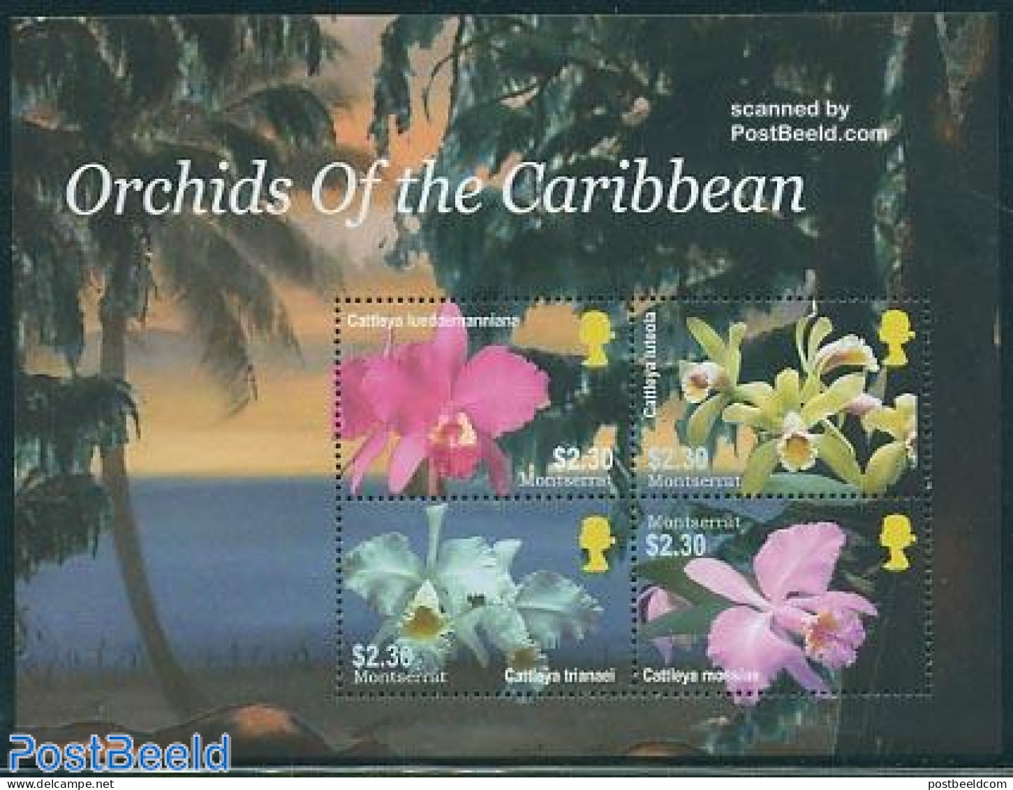 Montserrat 2005 Caribbean Orchids 4v M/s, Mint NH, Nature - Flowers & Plants - Orchids - Other & Unclassified