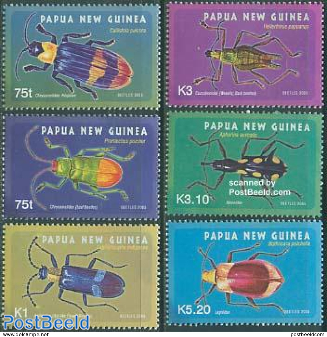 Papua New Guinea 2005 Beetles 6v, Mint NH, Nature - Insects - Papouasie-Nouvelle-Guinée