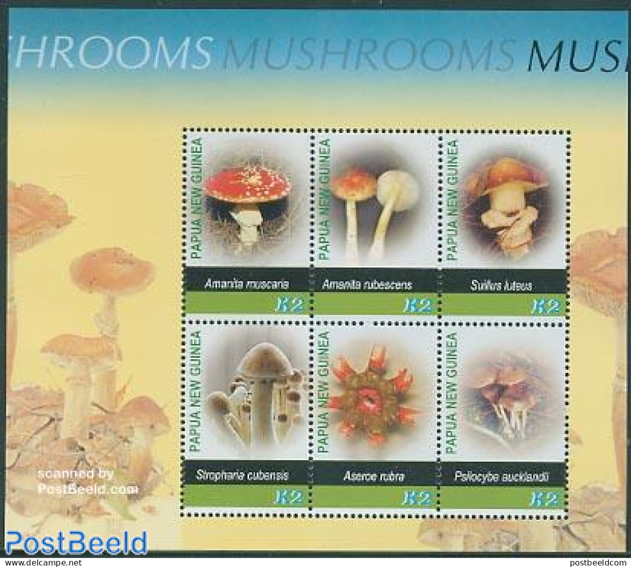 Papua New Guinea 2005 Mushrooms 6v M/s, Mint NH, Nature - Mushrooms - Mushrooms