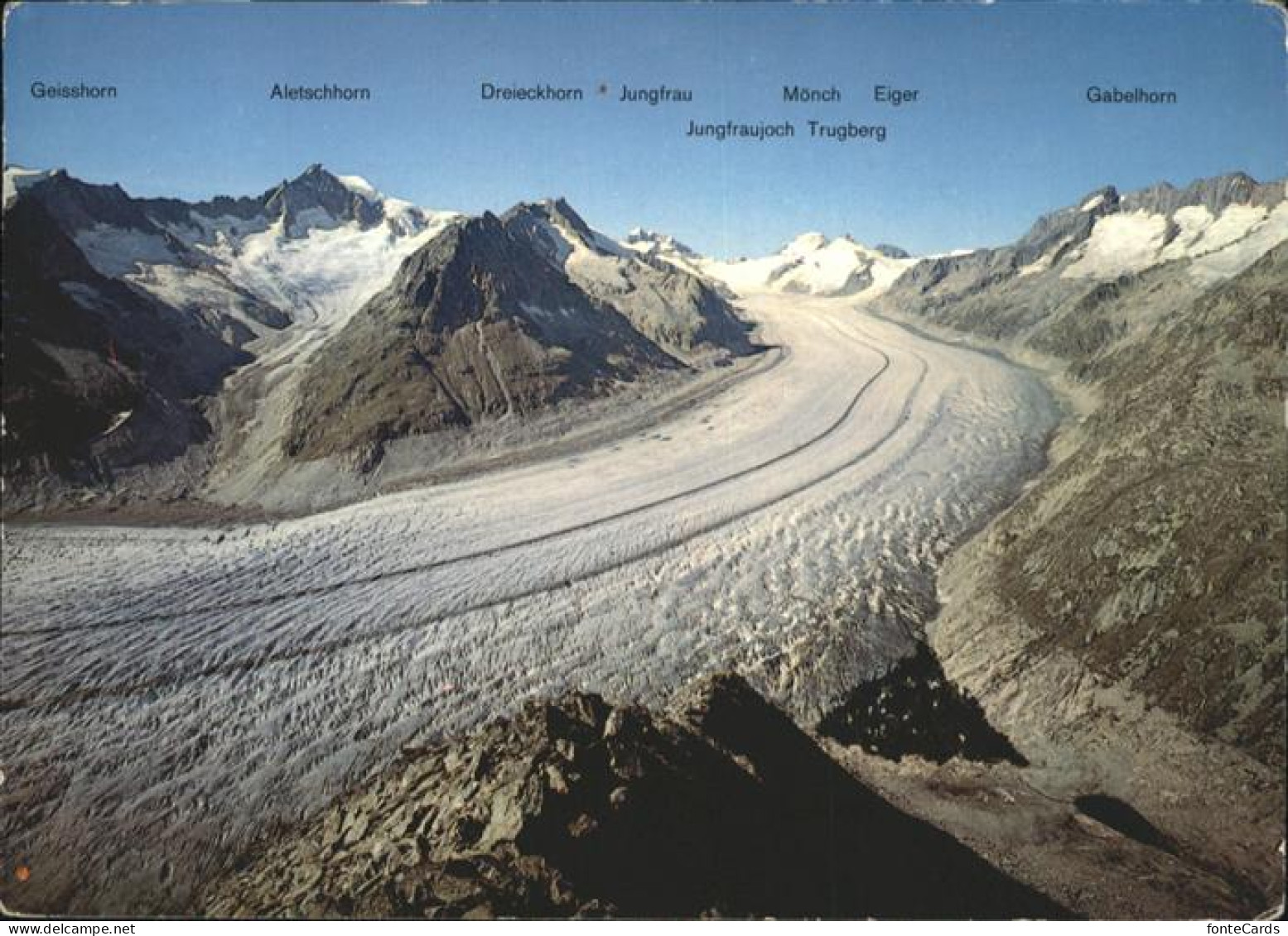 11019637 Aletschhorn Jungfrau Eiger Moench Gabelhorn Geisshorn - Other & Unclassified