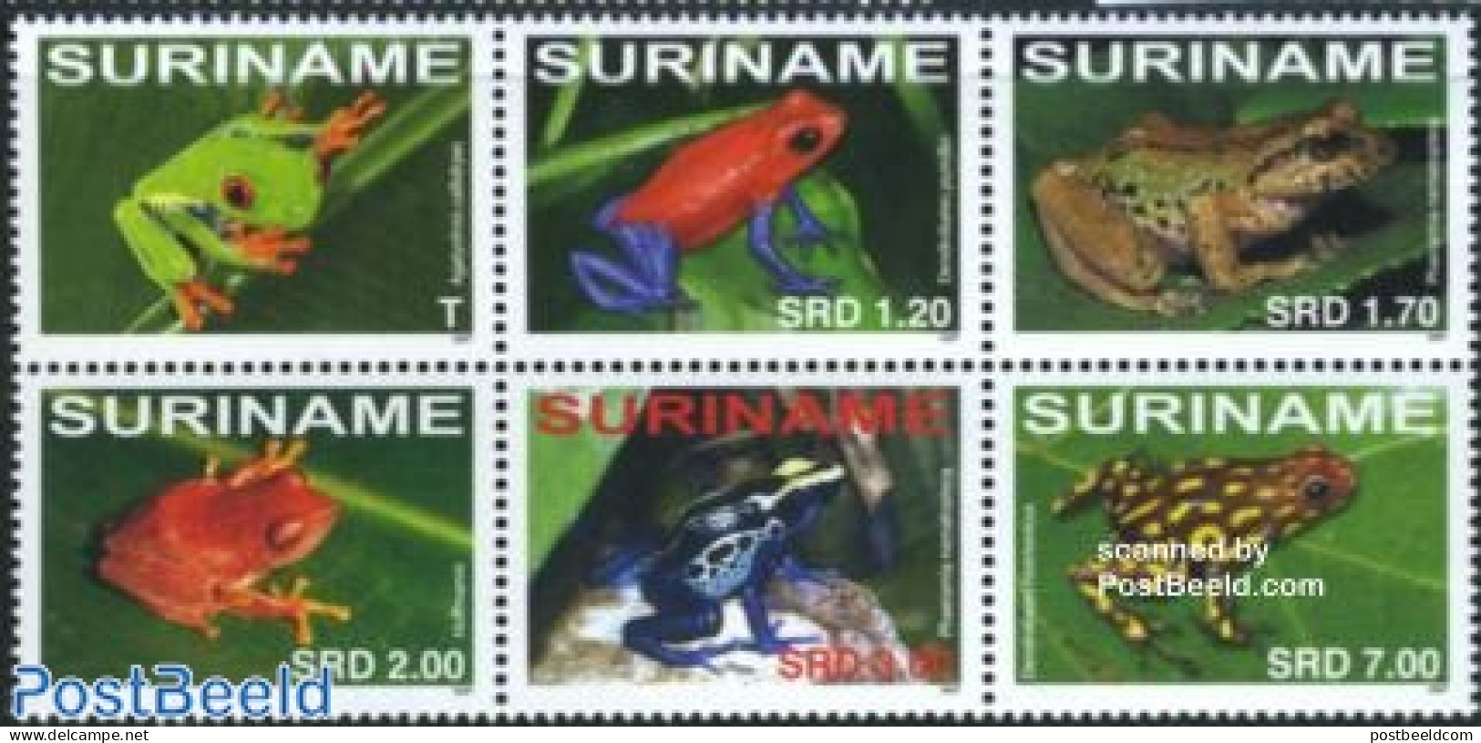 Suriname, Republic 2007 Frogs 6v [++], Mint NH, Nature - Animals (others & Mixed) - Frogs & Toads - Reptiles - Surinam