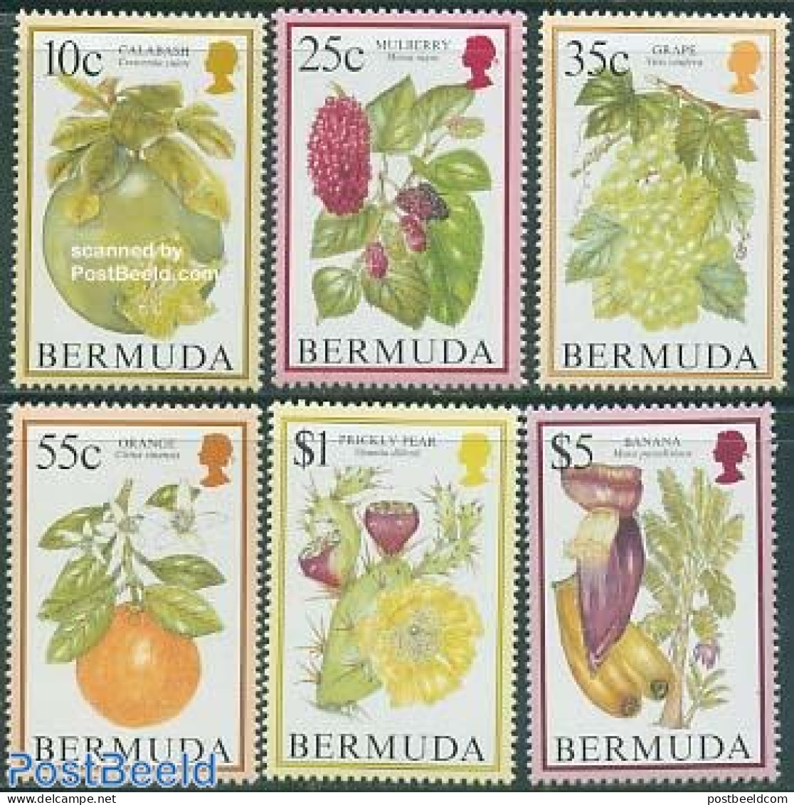 Bermuda 1994 Fruits 6v (without Year), Mint NH, Nature - Fruit - Obst & Früchte