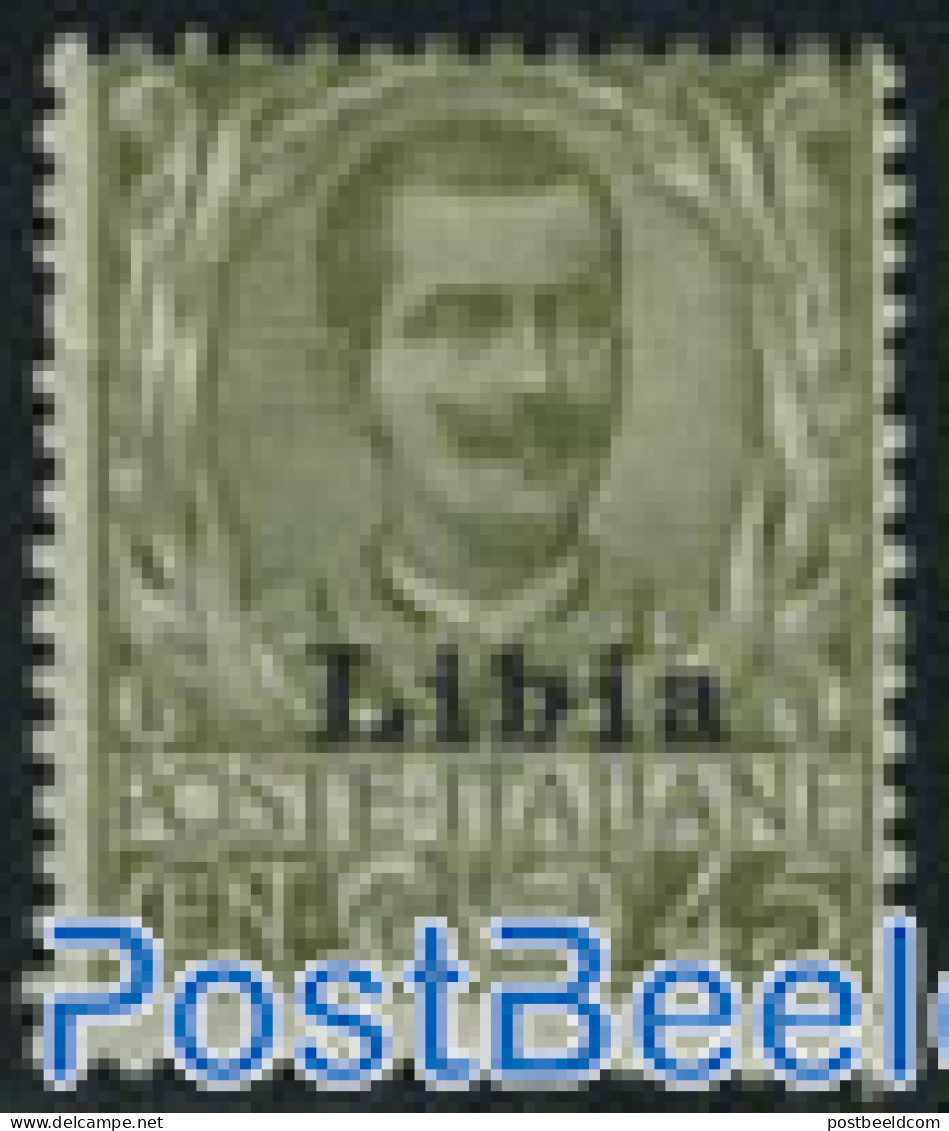 Italian Lybia 1917 45c, Stamp Out Of Set, Mint NH - Libyen