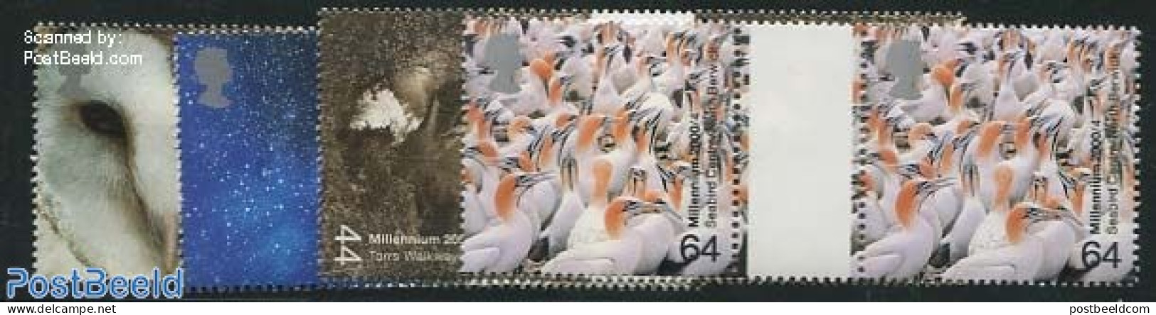 Great Britain 2000 Millennium, Nature 4v, Gutter Pairs, Mint NH, Nature - Science - Birds - Birds Of Prey - Owls - Ast.. - Unused Stamps