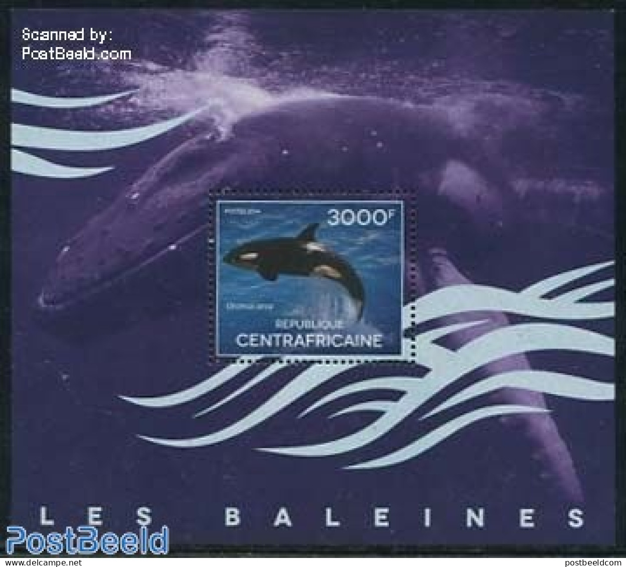Central Africa 2014 Killer Whale S/s, Mint NH, Nature - Sea Mammals - Central African Republic