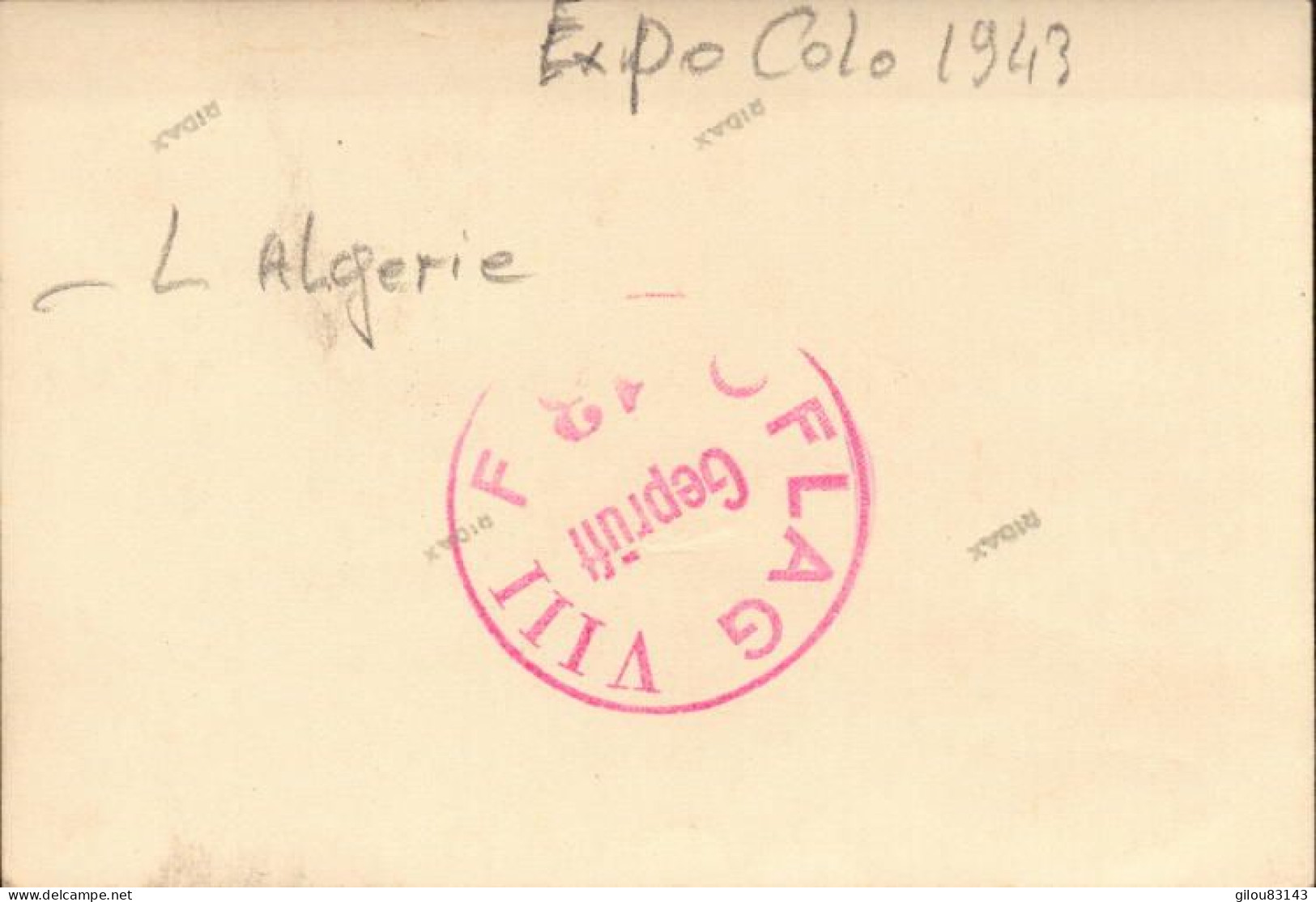 Camp De Prisonniers, Oflag VIII F, Expo Colo 1943, L Algerie - War, Military