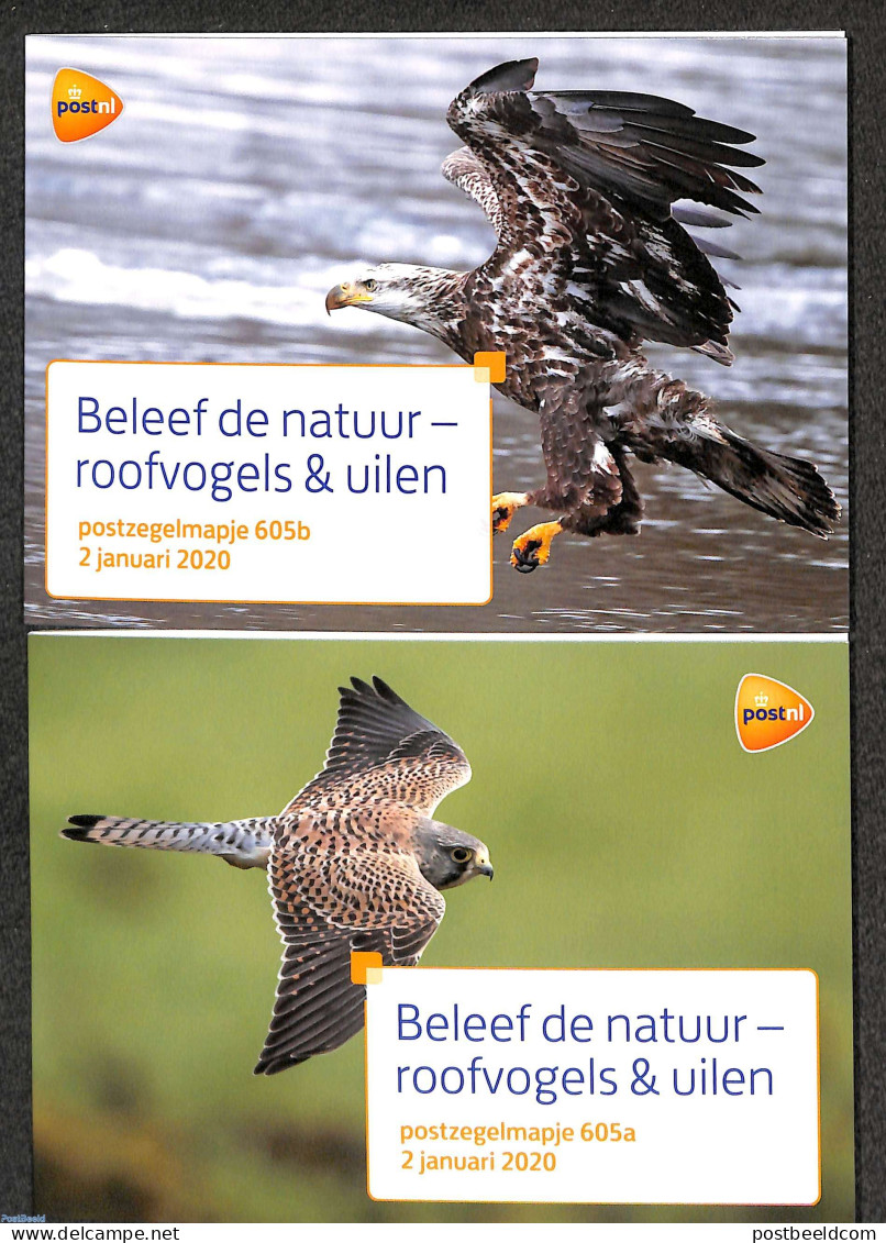 Netherlands 2020 Birds Of Prey, Presentation Pack 605a+b, Mint NH, Nature - Birds - Birds Of Prey - Owls - Unused Stamps