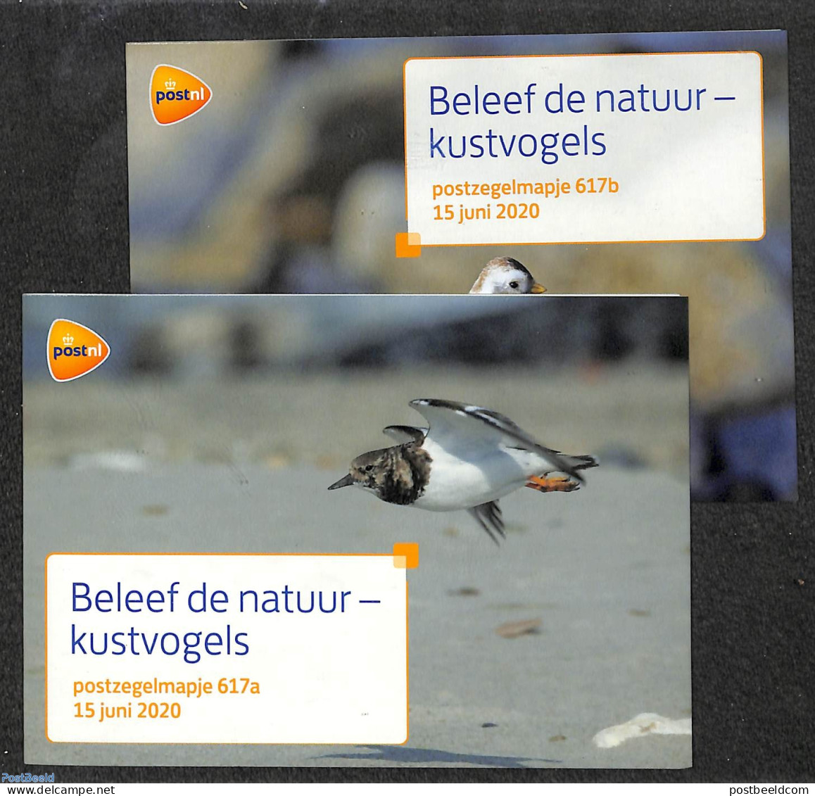 Netherlands 2020 Coastal Birds 10v, Presentation Pack 617a+b, Mint NH, Nature - Birds - Unused Stamps