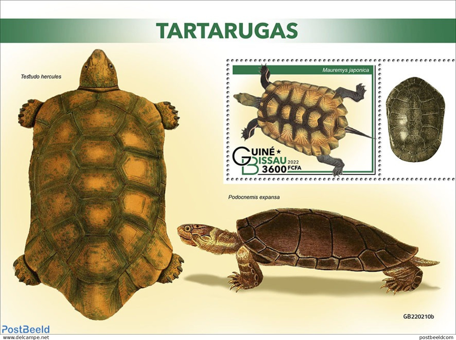 Guinea Bissau 2022 Turtles, Mint NH, Nature - Turtles - Guinea-Bissau