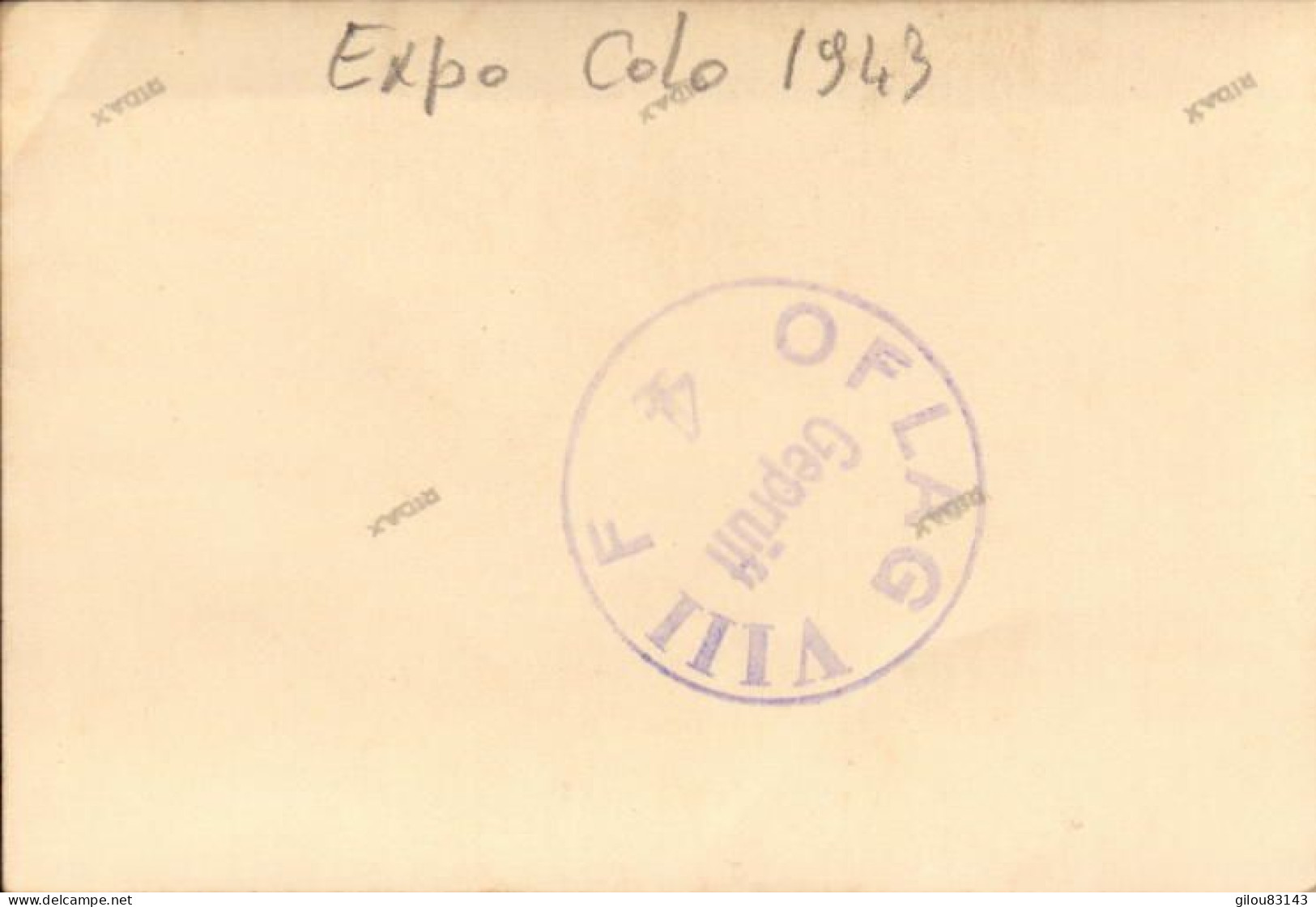 Camp De Prisonniers, Oflag VIII F, Expo Colo 1943 - Krieg, Militär
