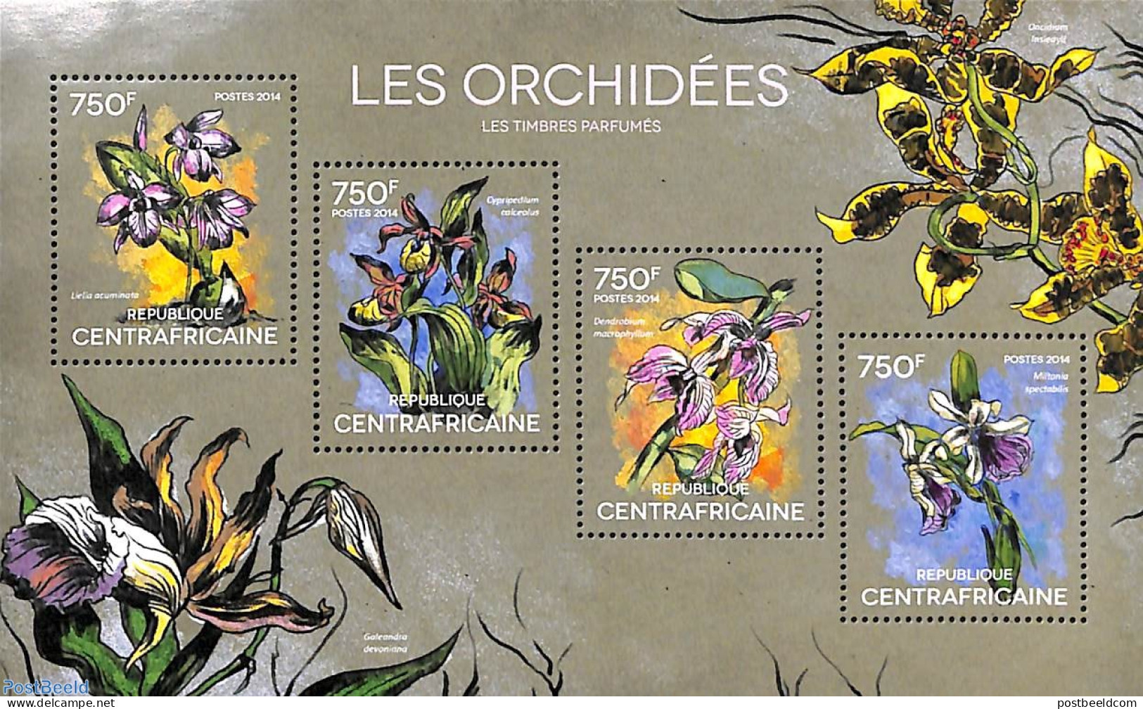 Central Africa 2014 Orchids 4v M/s, Mint NH, Nature - Flowers & Plants - Orchids - Centrafricaine (République)