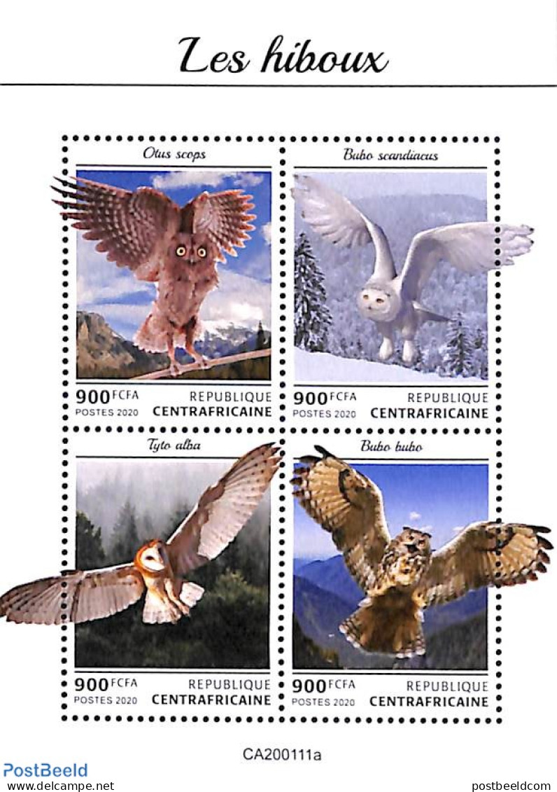 Central Africa 2020 Owls 4v M/s, Mint NH, Nature - Birds - Birds Of Prey - Owls - Centraal-Afrikaanse Republiek