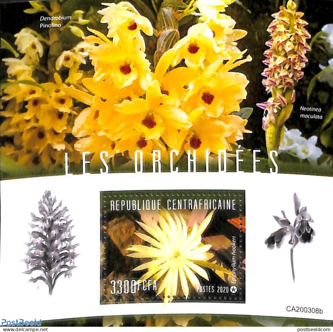 Central Africa 2020 Orchids S/s, Mint NH, Nature - Flowers & Plants - Orchids - Centrafricaine (République)