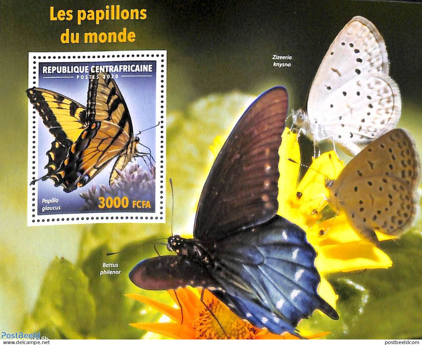 Central Africa 2020 Butterflies S/s, Mint NH, Nature - Butterflies - Centrafricaine (République)