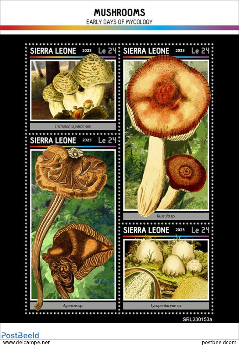 Sierra Leone 2023 Mushrooms, Mint NH, Nature - Mushrooms - Mushrooms