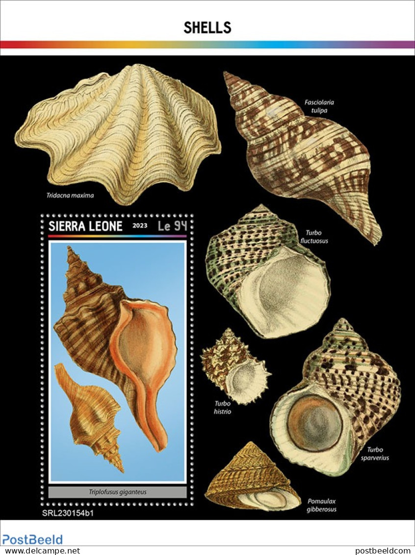 Sierra Leone 2023 Shells, Mint NH, Nature - Shells & Crustaceans - Vie Marine