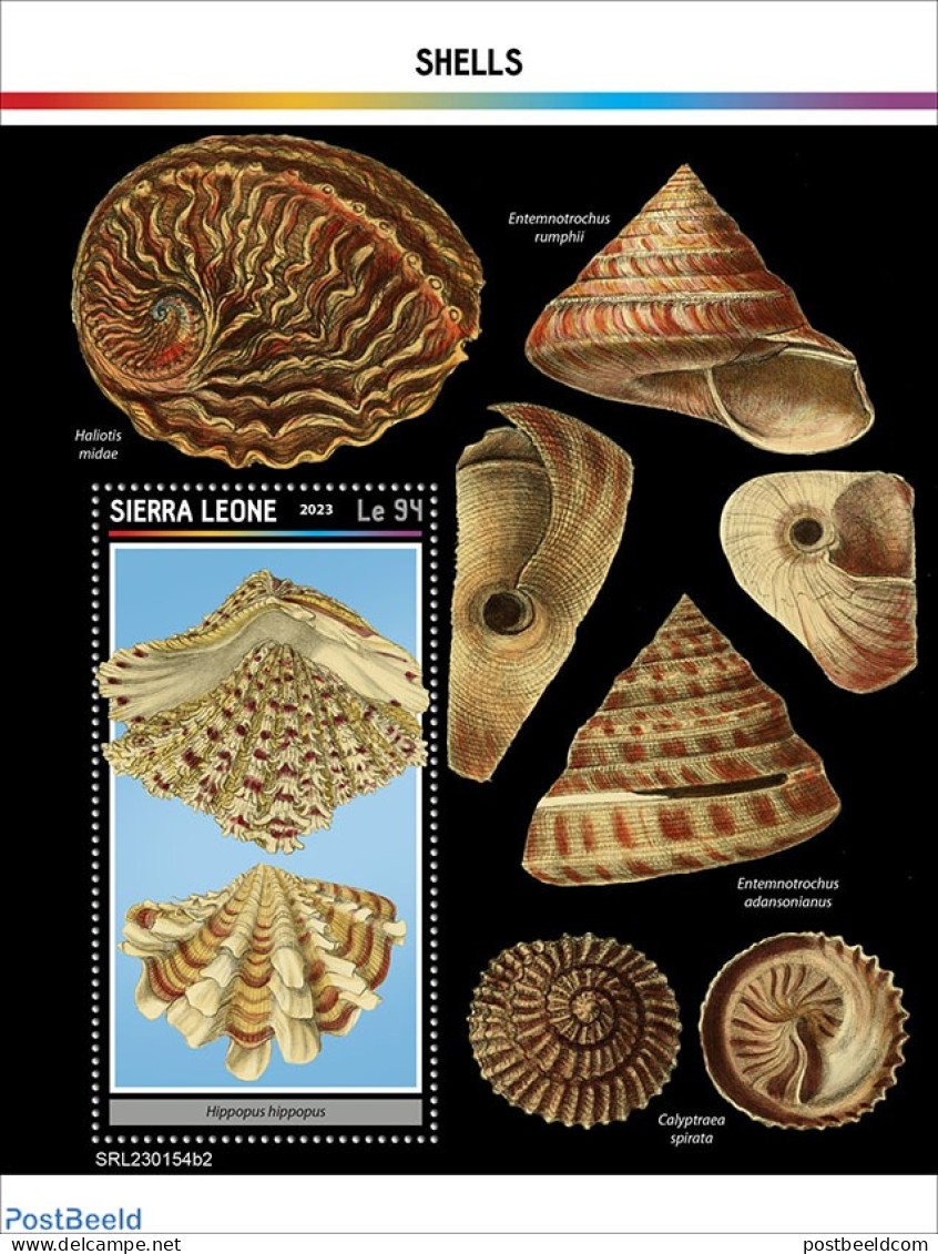 Sierra Leone 2023 Shells, Mint NH, Nature - Shells & Crustaceans - Marine Life