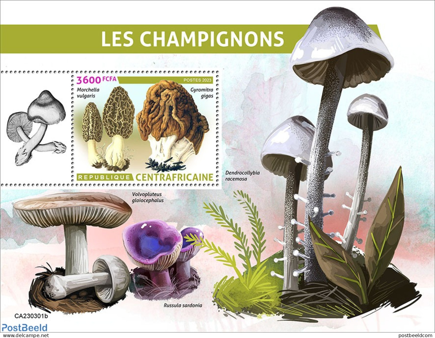 Central Africa 2023 Mushrooms, Mint NH, Nature - Mushrooms - Pilze