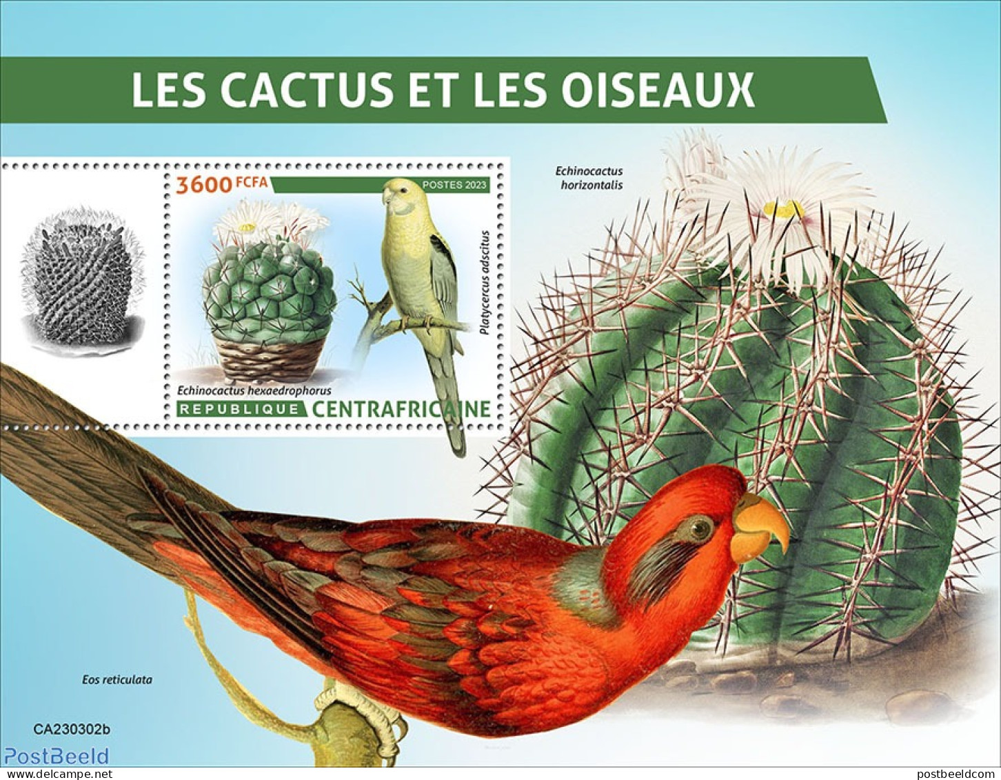 Central Africa 2023 Cactus And Birds, Mint NH, Nature - Birds - Cacti - Flowers & Plants - Sukkulenten