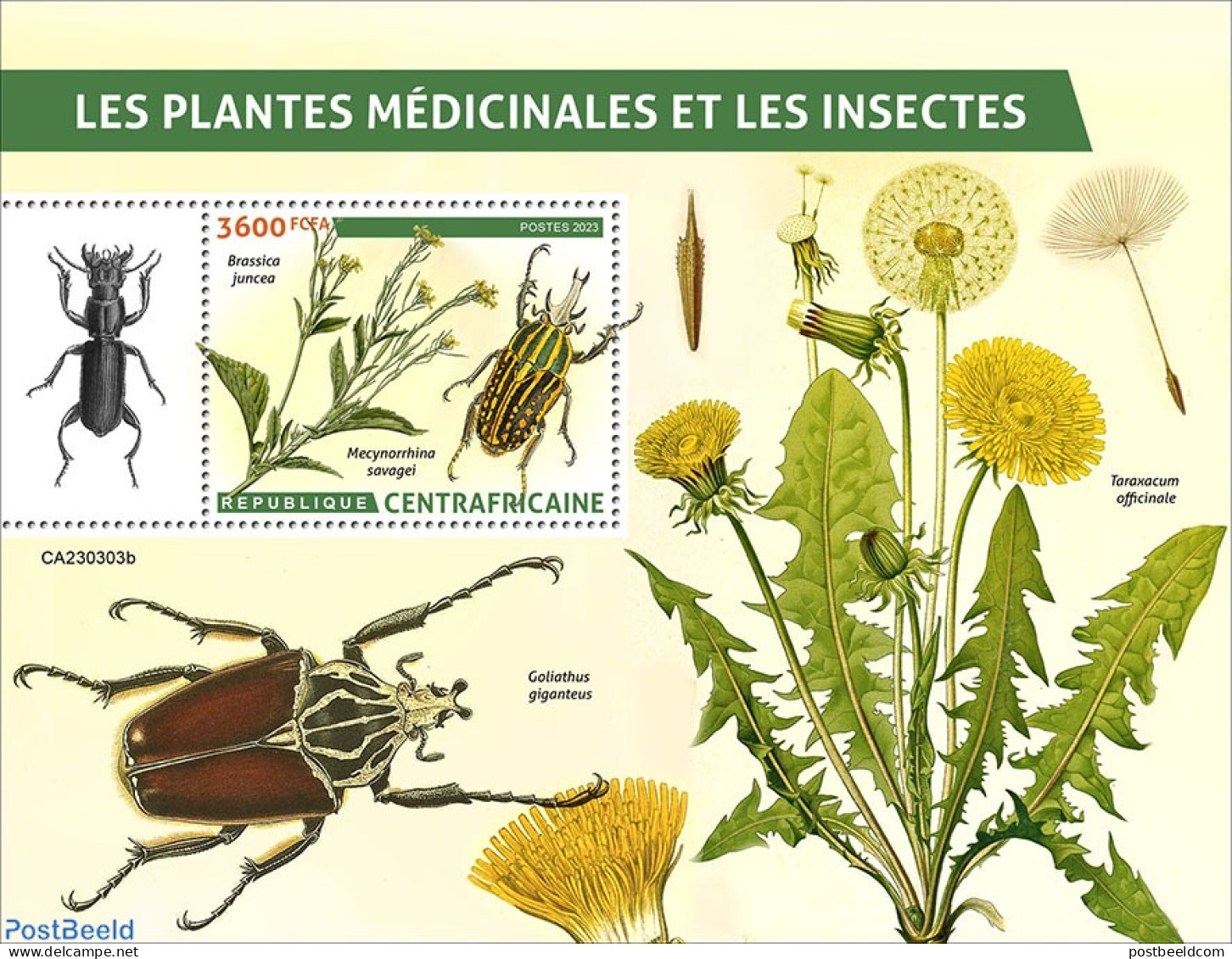 Central Africa 2023 Medical Plants And Insects, Mint NH, Nature - Flowers & Plants - Insects - Central African Republic