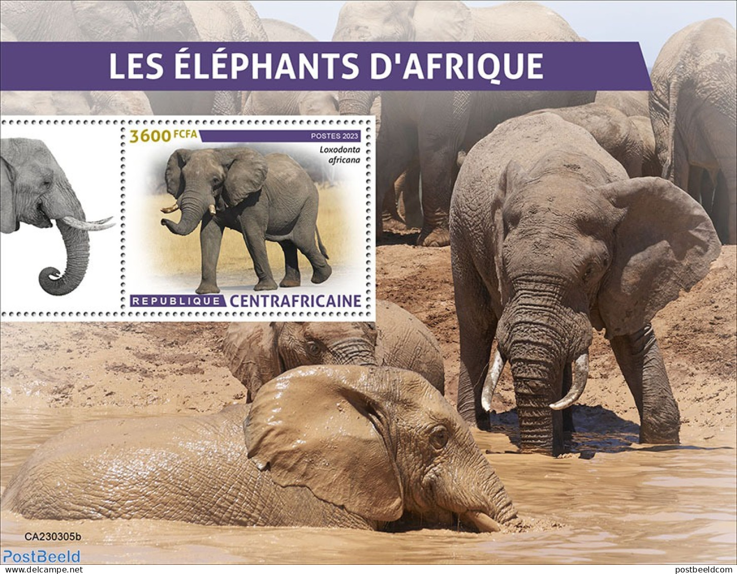 Central Africa 2023 Elephants, Mint NH, Nature - Elephants - Central African Republic