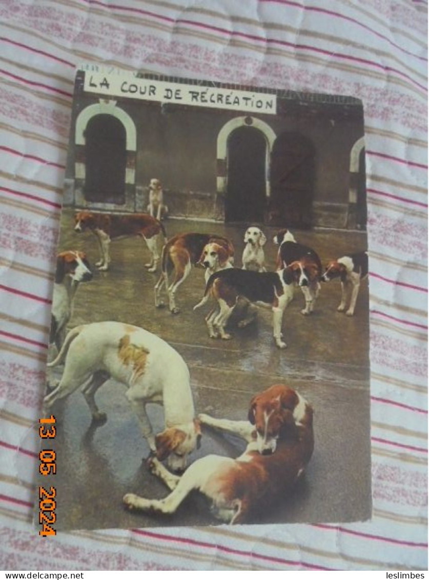 Cour De Recreation Lyna 91 PM 1971 - Dogs