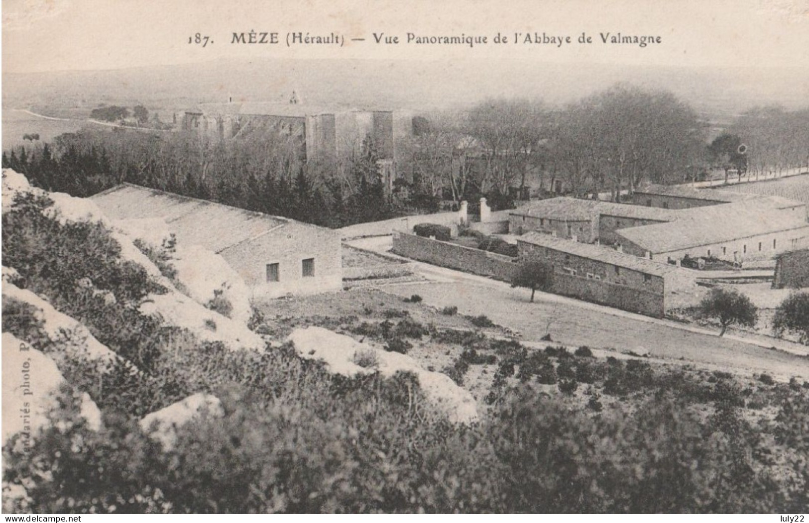 CPA Mèze Vue Panoramique De L Abbaye De Valmagne - Mèze