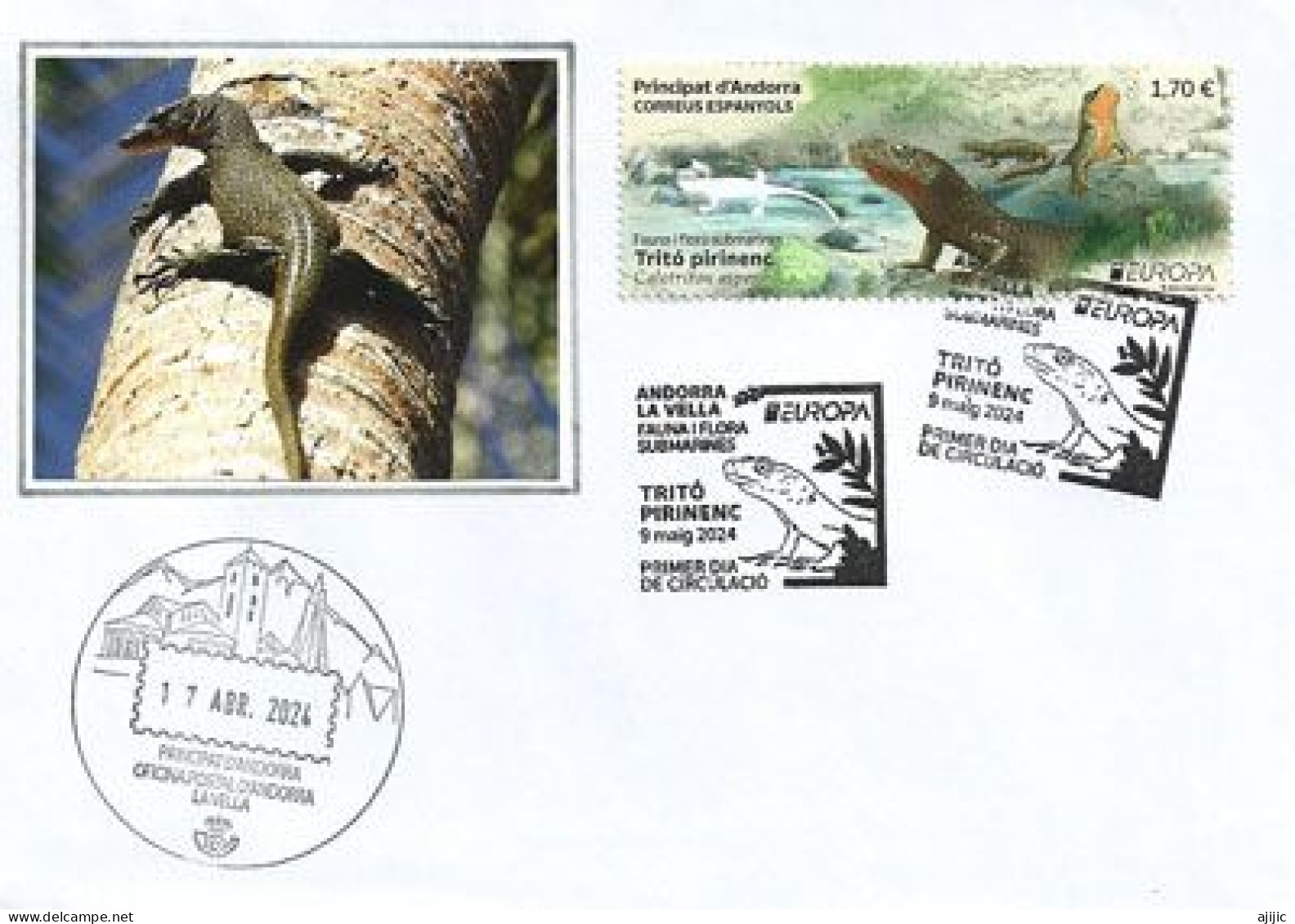 2024 ANDORRA  Europa CEPT. (SP) FAUNA: Calotriton Des Pyrénées. Lettre FDC - 2024