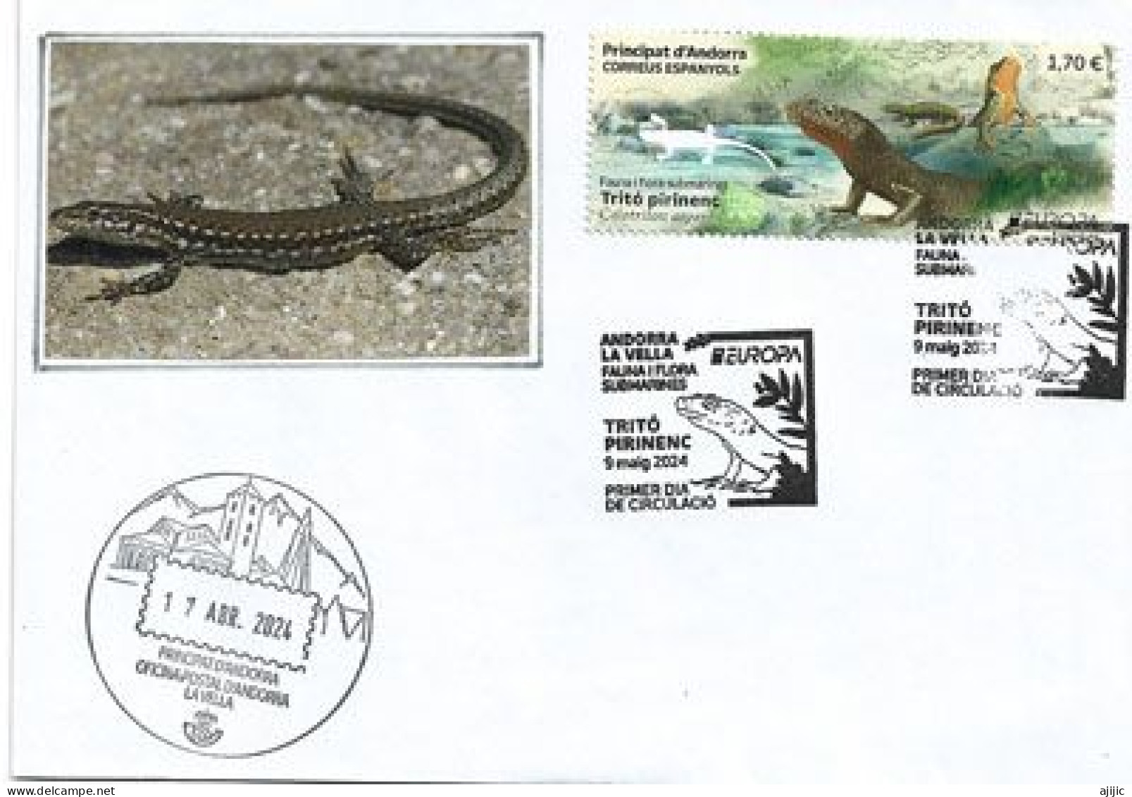 2024 Europa CEPT. (SP) FAUNA: Calotriton Des Pyrénées. Lettre FDC - FDC