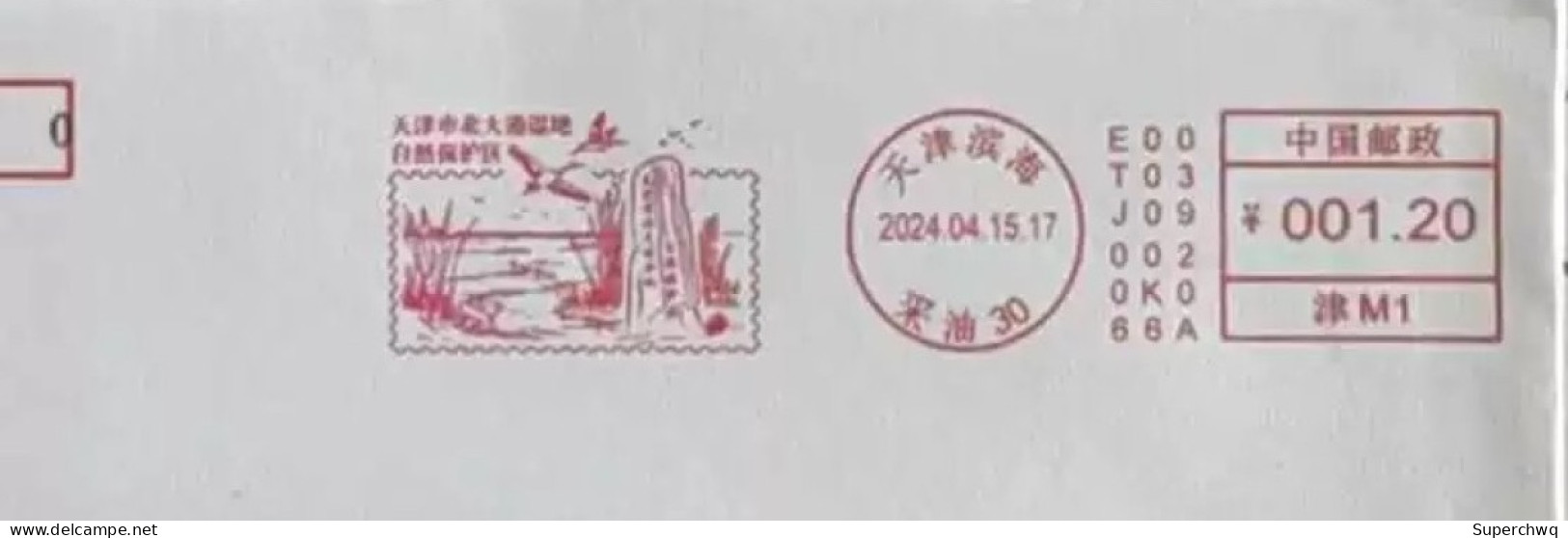 China Posted Cover，Beidagang Wetland Conservation Area/ Postage Machine Stamp - Enveloppes