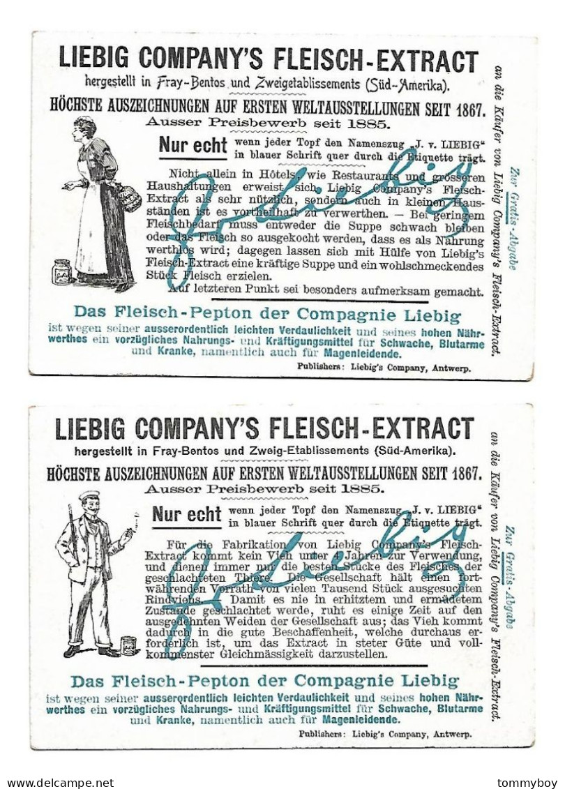 S 557, Liebig 6 Cards,  Stroeme Europa's (ref B12) - Liebig