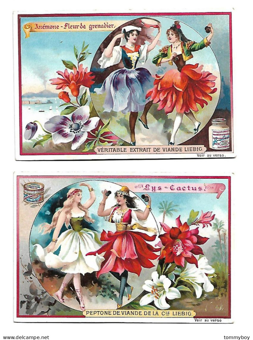 S 556, Liebig 6 Cards, Fleurs Et Femmes ( Small Stickers On The Backsides)(ref B12) - Liebig