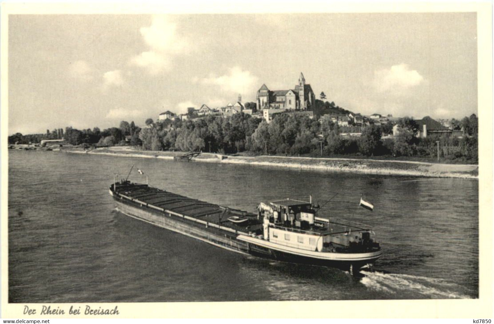 Der Rhein Bei Breisach - Breisach