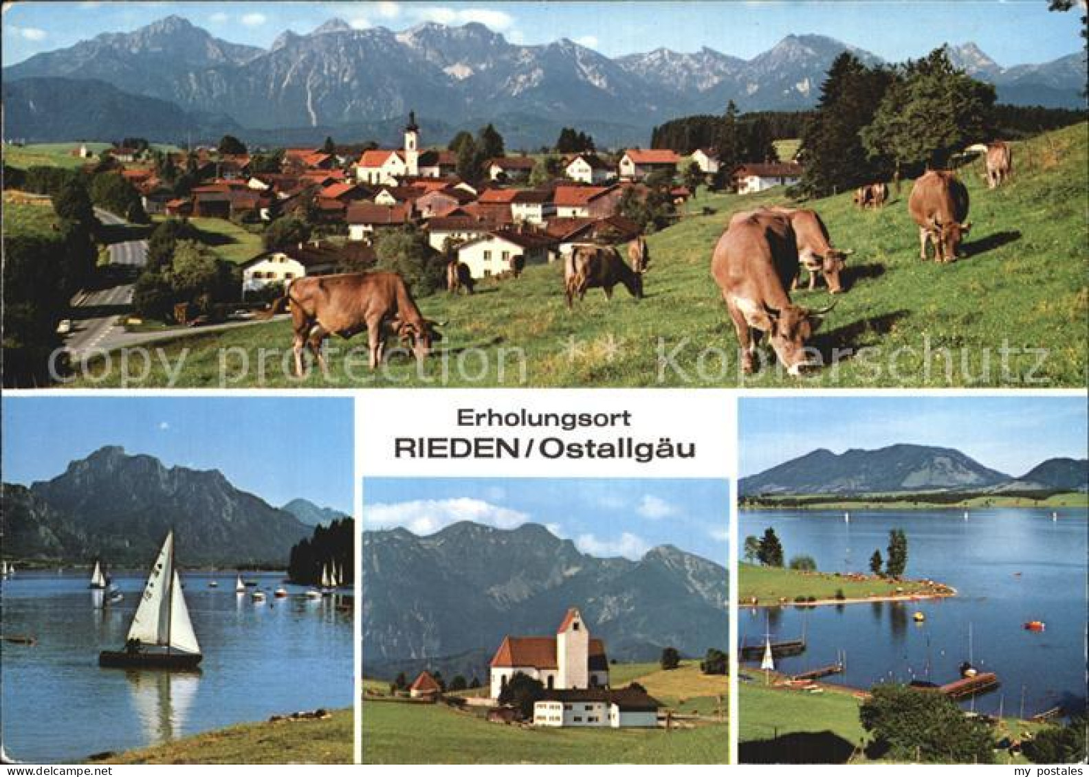72532683 Rieden Allgaeu Panorama Weidevieh Segeln Kirche Seepartie Rieden Allgae - Füssen