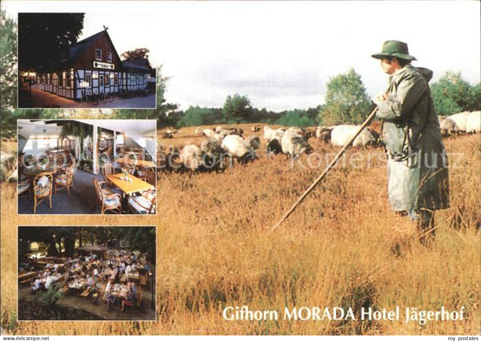 72532593 Gifhorn Morada Hotel Jaegerhof Gastraum Terrasse Schaefer Mit Herde Gif - Gifhorn