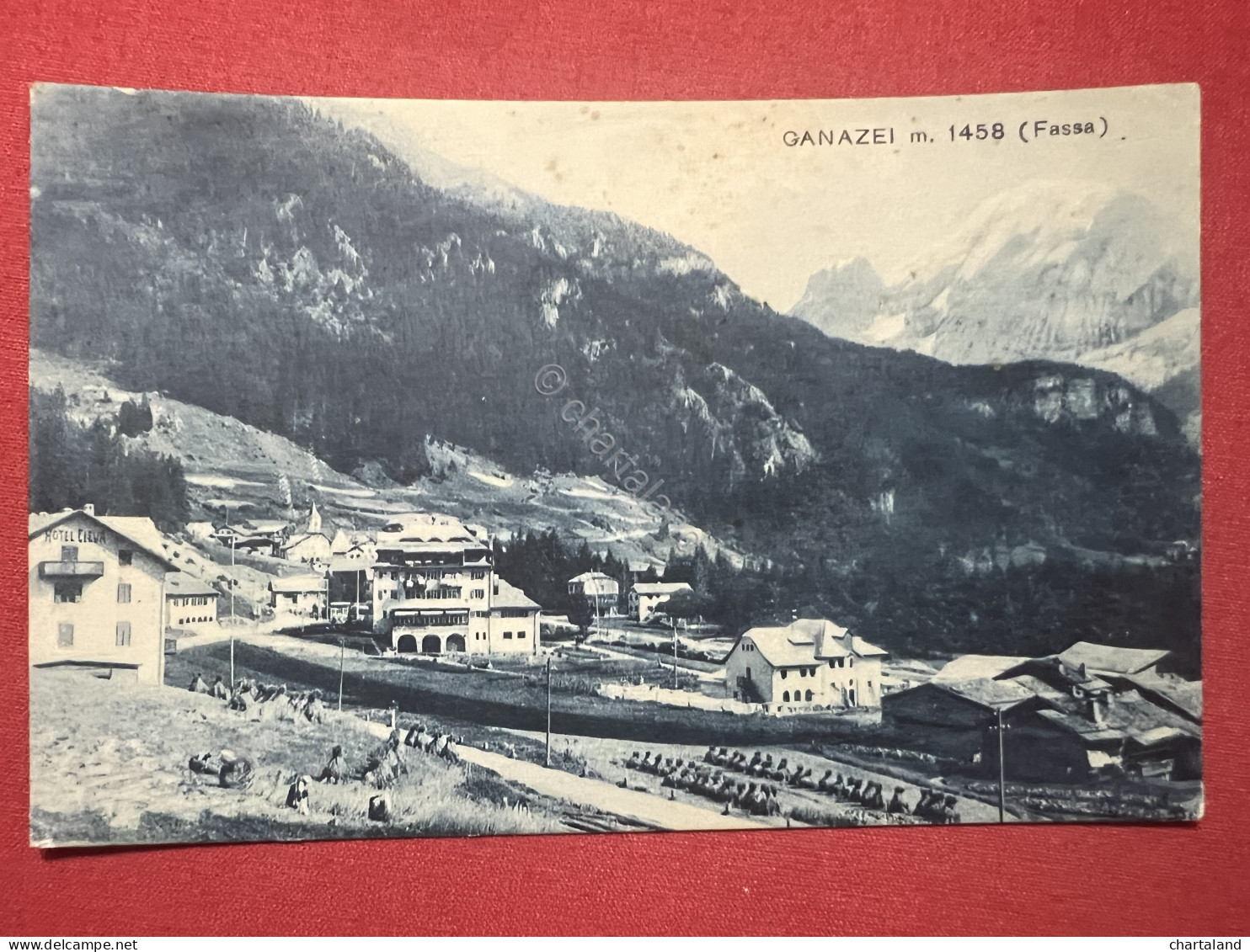 Cartolina - Canazei ( Trento ) - Fassa - 1920 Ca. - Trento