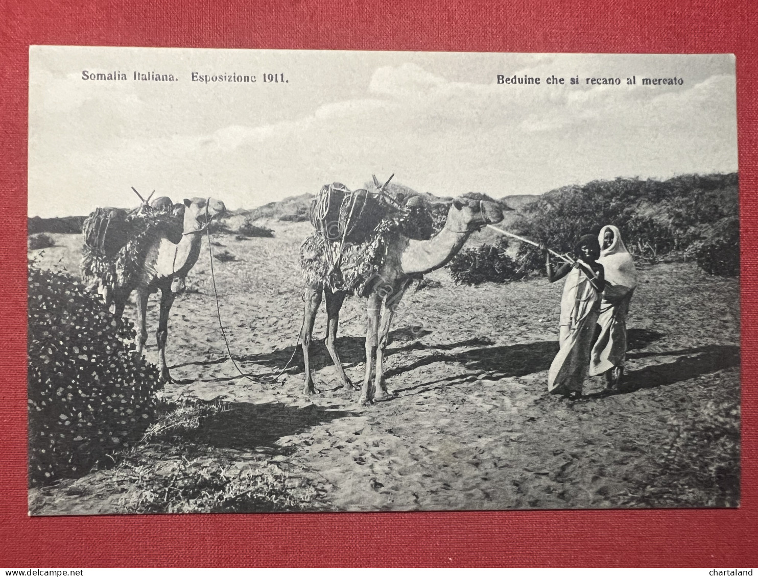 Cartolina Coloniale - Somalia Italiana - Beduine Che Si Recano - Exposition 1911 - Sonstige & Ohne Zuordnung