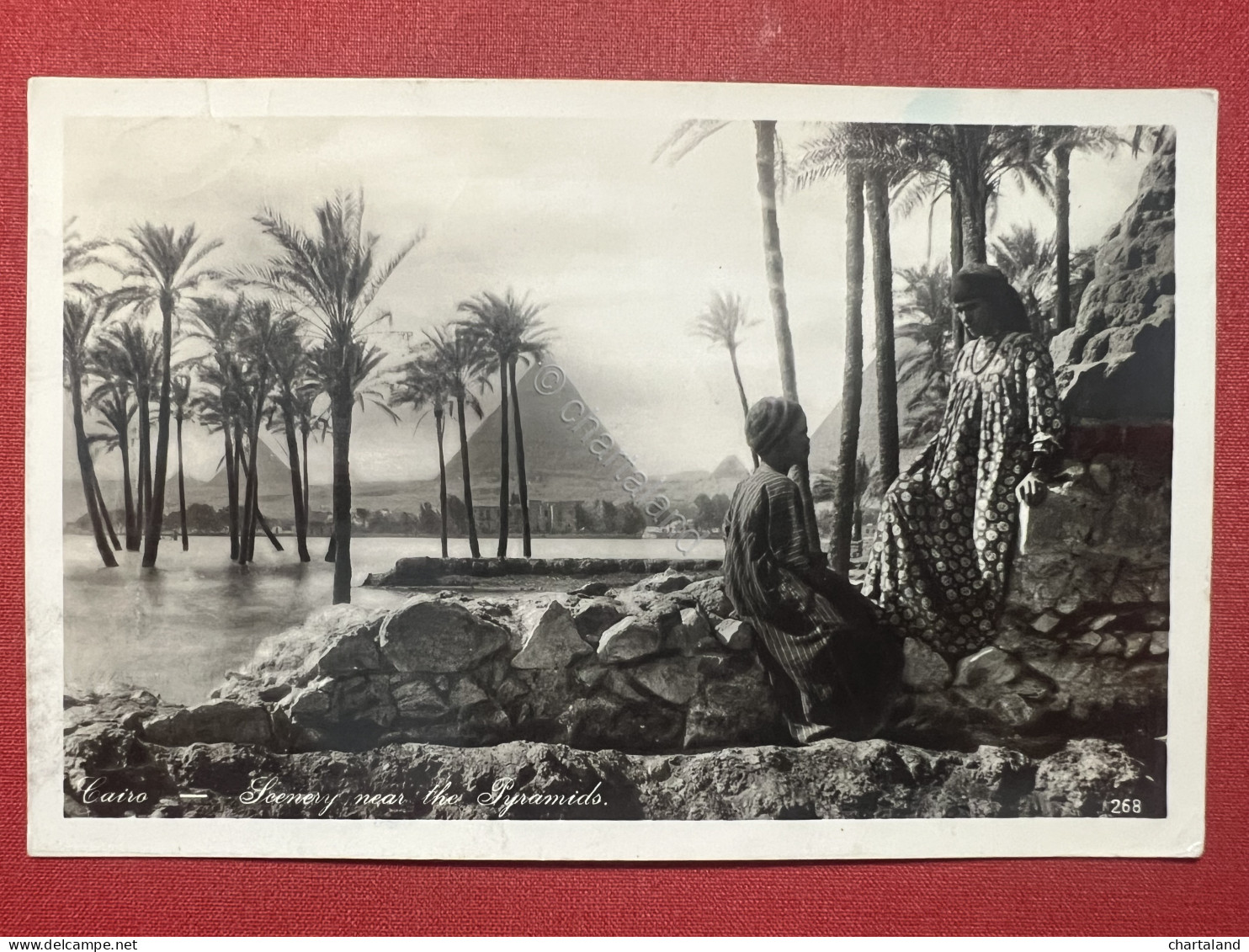 Cartolina - Cairo - Scenery Near The Pyramids - 1935 - Unclassified