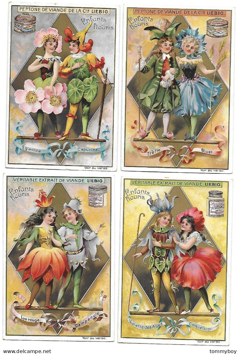 S 554, Liebig 6 Cards, Enfants Fleuris (small Stickers On The Backsides) (ref B12) - Liebig