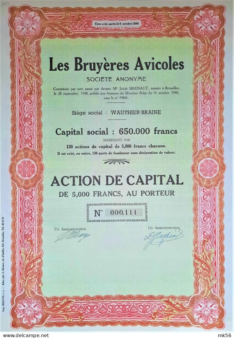 Les Bruyères Avicoles - Wauthier-Braine - Action De Capital - 1948 - Other & Unclassified