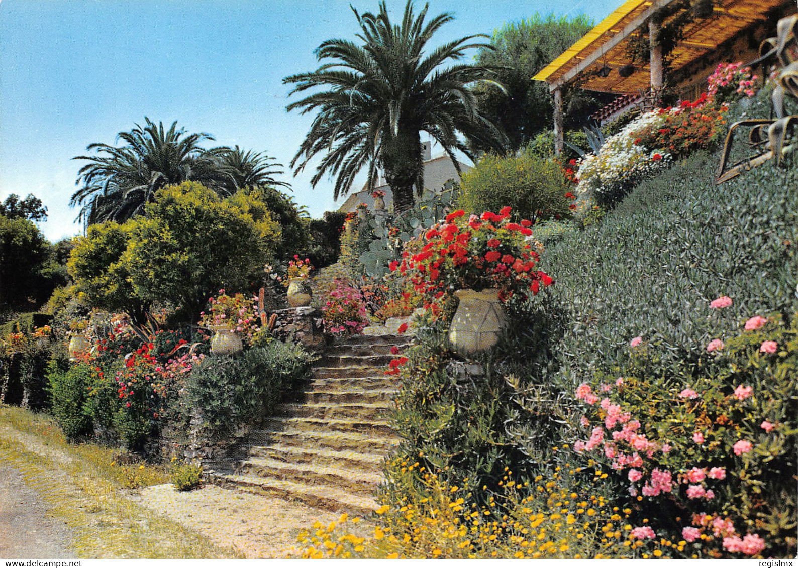 83-RAYOL ESCALIER FLEURI-N°T2653-D/0299 - Rayol-Canadel-sur-Mer