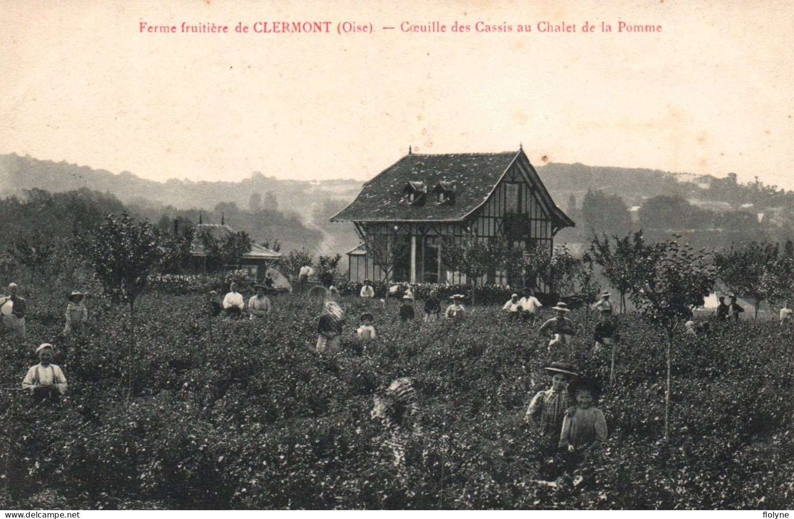 Clermont - La Ferme Fruitière - Coeuille Des Cassis Au Chalet De La Pomme - Cueillette Fruits - Clermont