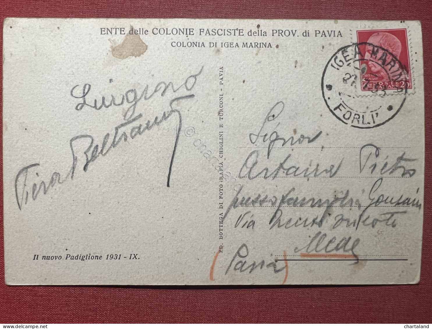 Cartolina - Il Nuovo Padiglione 1931 - Ente Delle Colonie Fasciste Di Pavia 1933 - Pavia