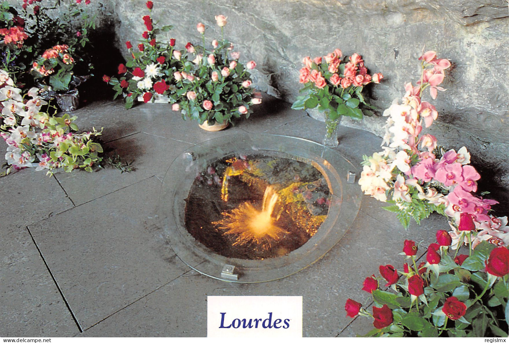 65-LOURDES-N°T2654-C/0013 - Lourdes