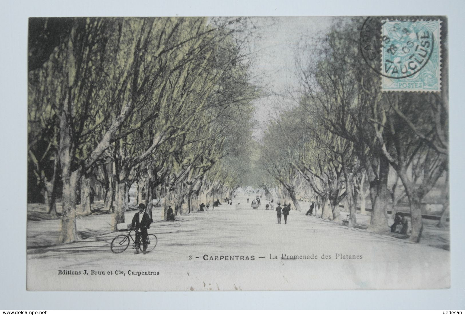 Cpa 1905 CARPENTRAS La Promenade Des Platanes - BL84 - Carpentras
